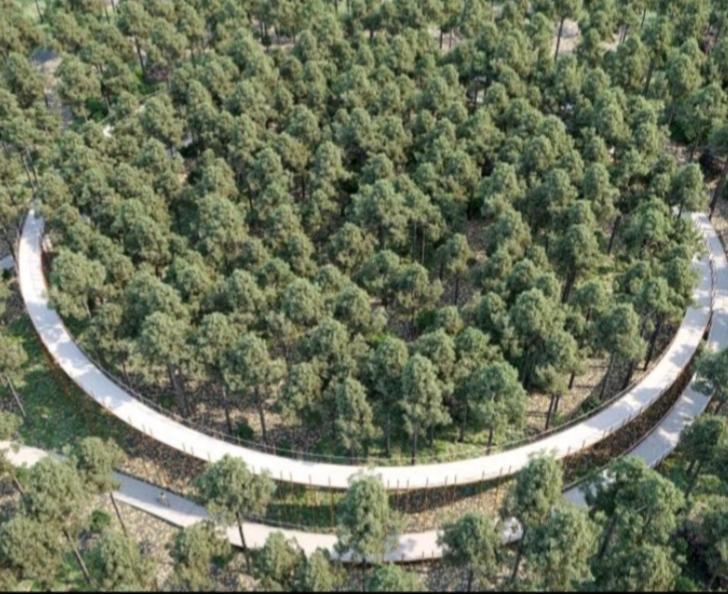 Villa 2Be Balen المظهر الخارجي الصورة